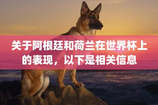 关于阿根廷和荷兰在世界杯上的表现，以下是相关信息