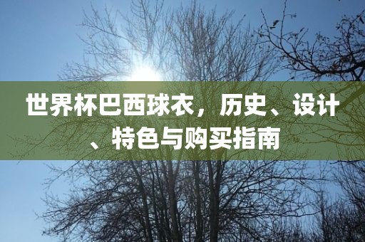 世界杯巴西球衣，历史、设计、特色与购买指南
