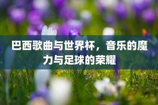 巴西歌曲与世界杯，音乐的魔力与足球的荣耀