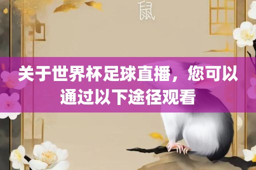 关于世界杯足球直播，您可以通过以下途径观看