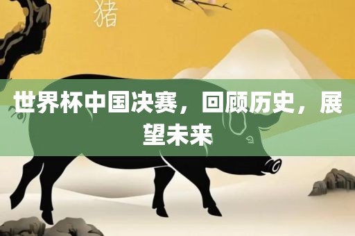 世界杯中国决赛，回顾历史，展望未来