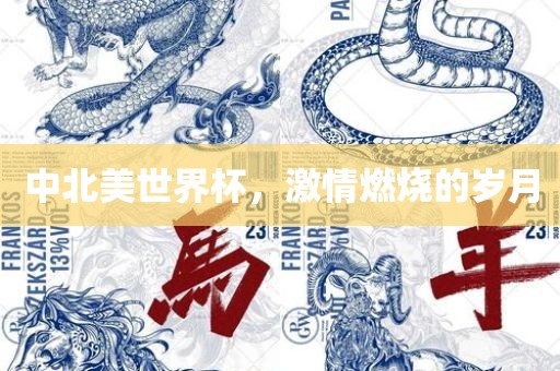 中北美世界杯，激情燃烧的岁月