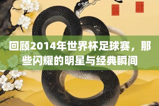 回顾2014年世界杯足球赛，那些闪耀的明星与经典瞬间