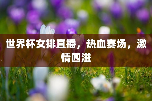 世界杯女排直播，热血赛场，激情四溢