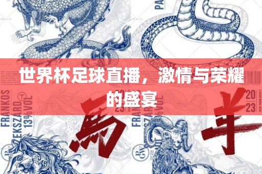 世界杯足球直播，激情与荣耀的盛宴漯河市盈旭机械设备有限公司