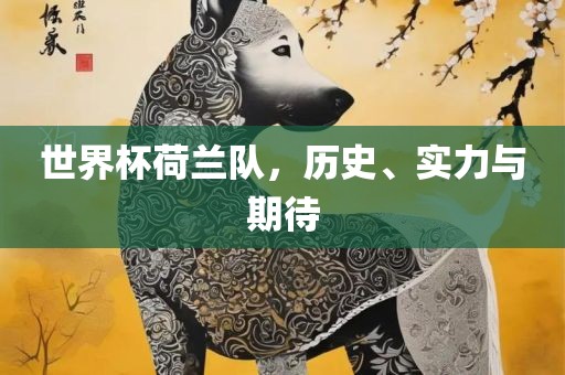 世界杯荷兰队，历史、实力与期待