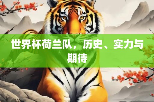 世界杯荷兰队，历史、实力与期待