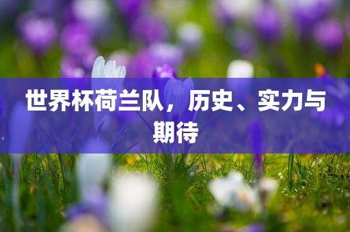世界杯荷兰队，历史、实力与期待