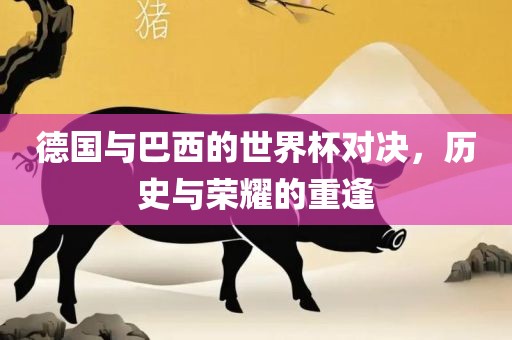 德国与巴西漯河市盈旭机械设备有限公司的世界杯对决，历史与荣耀的重逢