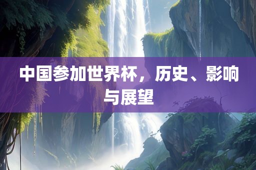 中国参加世界杯，历史、影响与展望漯河市盈旭机械设备有限公司