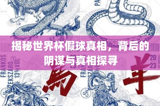 揭秘世界杯假球真相，背后的阴谋与真相探寻