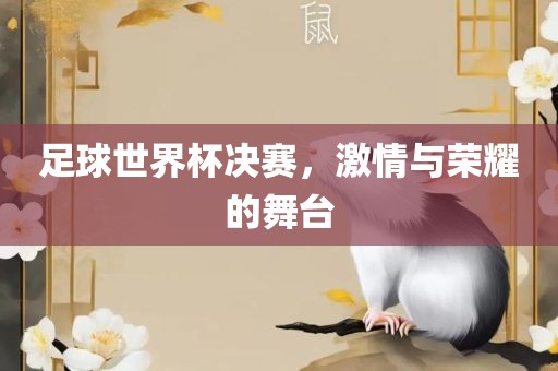 足球世界杯决赛，激情与荣耀的舞台