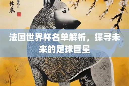 法国世界杯名单解析，探寻未来的足球巨星