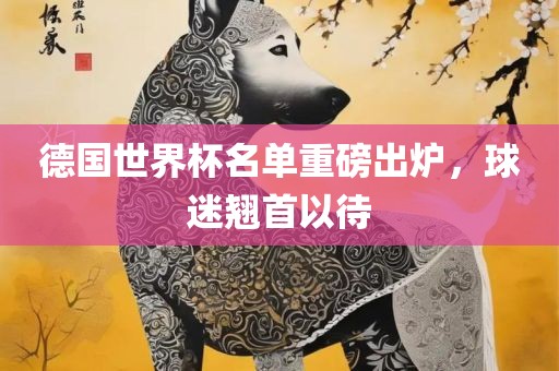 德国世界杯名单重磅出炉，球迷翘首以待