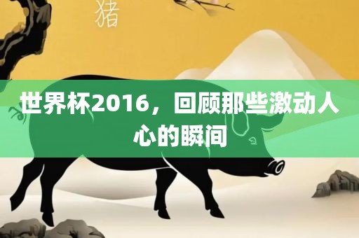 世界杯2016，回顾那些激动人心的瞬间