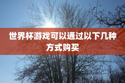 世界杯游戏可以通过以下几种方式购买漯河市盈旭机械设备有限公司