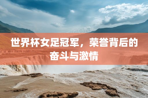 世界杯女足冠军，荣誉背后的奋斗与激情