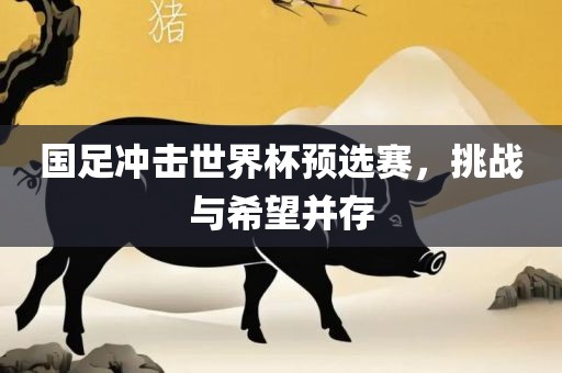 国足冲击世界杯预选赛，挑战与希望并存