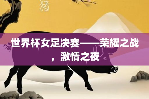 世界杯女足决赛——荣耀之战，激情之夜漯河市盈旭机械设备有限公司