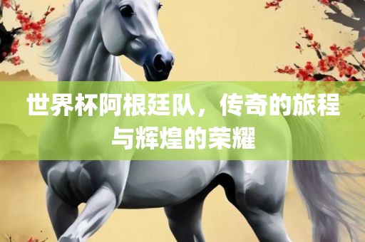世界杯阿根廷队，传奇的旅程与辉煌的荣耀