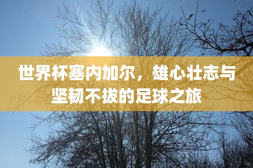 世界杯塞内加尔，雄心壮志与坚韧不拔的足球之旅