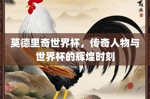 莫德里奇世界杯，传奇人物与世界杯的辉煌时刻