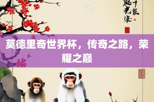 莫德里奇世界杯，传奇之路，荣耀之巅