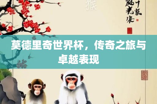 莫德里奇世界杯，传奇之旅与卓越表现