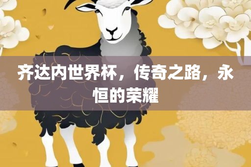 齐达内世界杯，传奇之路，永恒的荣耀
