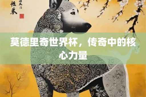 莫德里奇世界杯，传奇中的核心力量