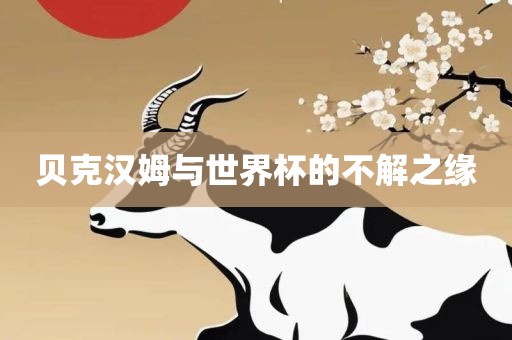 贝克汉姆与世界杯的不解之缘漯河市盈旭机械设备有限公司