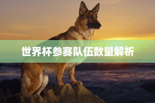 世界杯参赛队伍数量解析漯河市盈旭机械设备有限公司