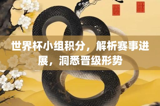 世界杯小组积分，解析赛事进展，洞悉晋级形势