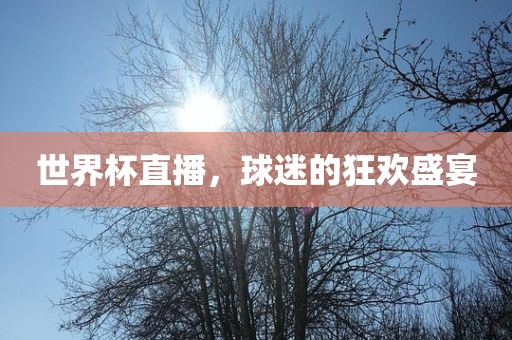 世界杯直播，球迷的狂欢盛宴漯河市盈旭机械设备有限公司