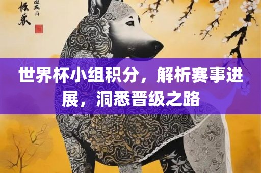 世界杯小组积分，解析赛事进展，洞悉晋级之路