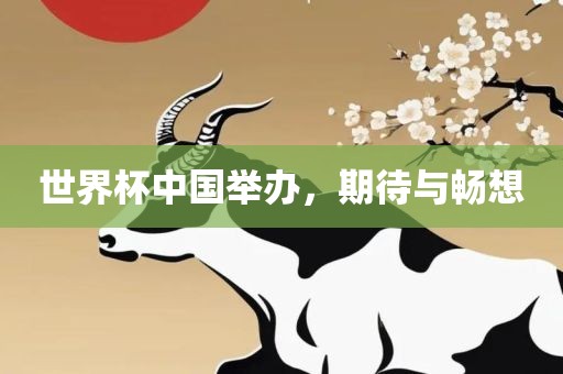 世界杯中国举办，期待与畅想