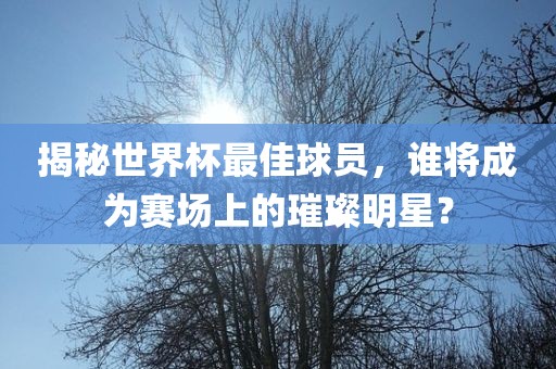 揭秘世界杯最佳球员，谁将成为赛场上的璀璨明星？