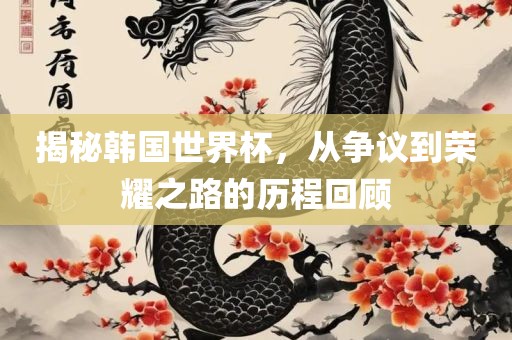 揭秘韩国世界杯，从争议到荣耀之路的历程回顾