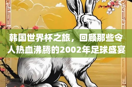 韩国世界杯之旅，回顾那些令人热血沸腾的2002年漯河市盈旭机械设备有限公司足球盛宴