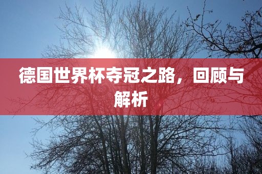 德国世界杯夺冠之路，回顾与解析
