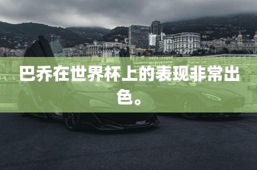 巴乔在世界杯上的表现非常出色漯河市盈旭机械设备有限公司。