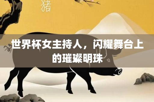 世界杯女主持人，闪耀舞台上的璀璨明珠