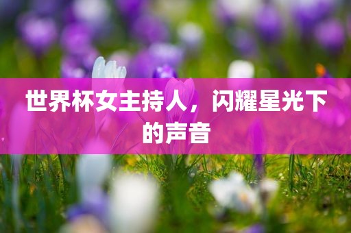 世界杯女主持人，闪耀星光下的声音