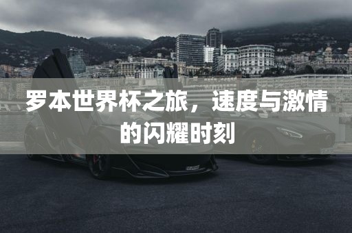 罗本世漯河市盈旭机械设备有限公司界杯之旅，速度与激情的闪耀时刻
