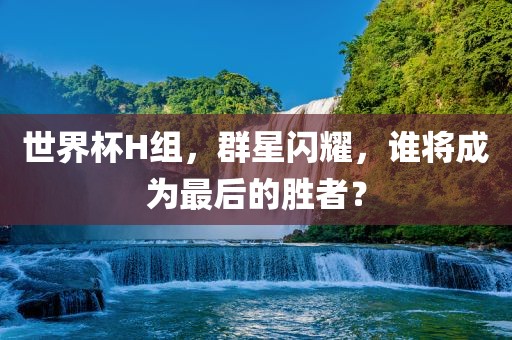 世界杯H组，群星闪耀，谁将成为最后的胜者？