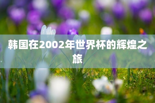 韩国在2002年世界杯的辉煌之旅
