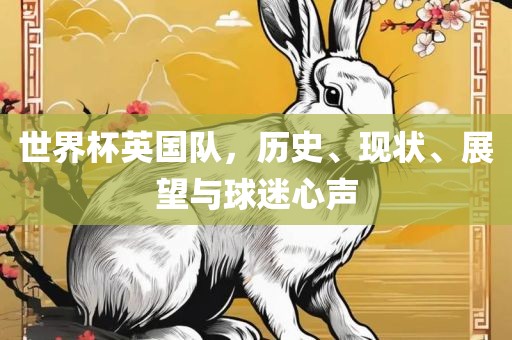 世界杯英漯河市盈旭机械设备有限公司国队，历史、现状、展望与球迷心声