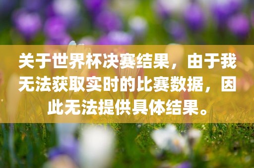 关于世界杯决赛结果，由于我无法获取实时的比赛数据，因此无法提供具体结果。