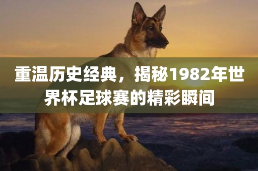 重温历史经典，揭秘1982年世界杯足球赛的精彩瞬间漯河市盈旭机械设备有限公司