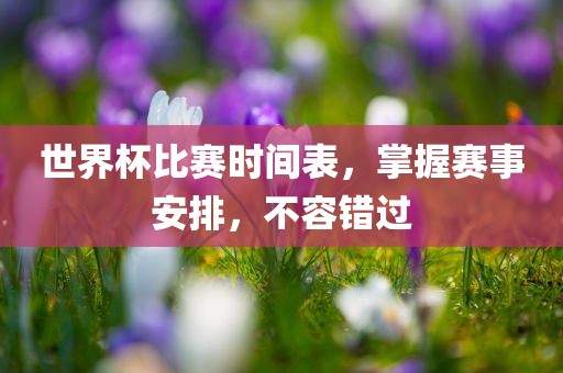 世界杯比赛时间表，掌握赛事安排，不容错过